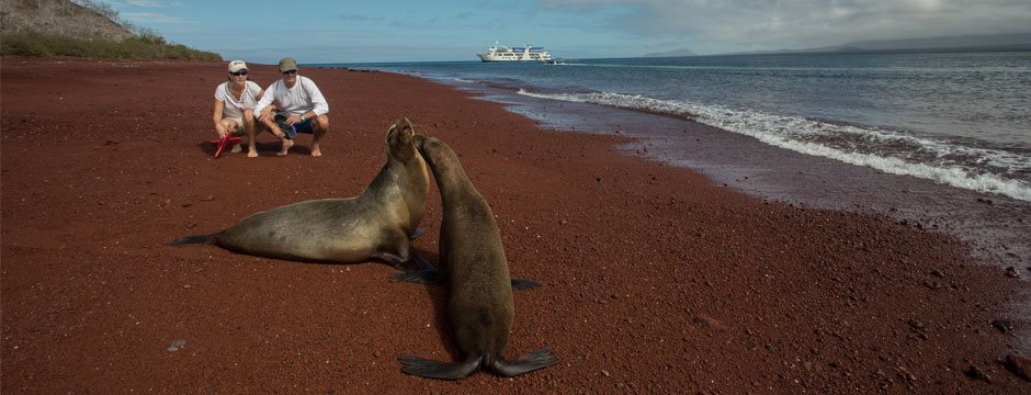 Galápagos Ilhas do Sul com Iate Isabela II