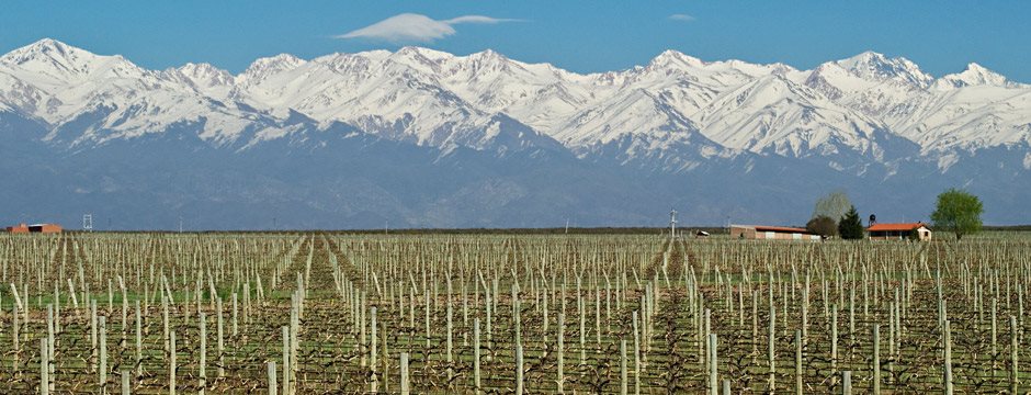 Mendoza