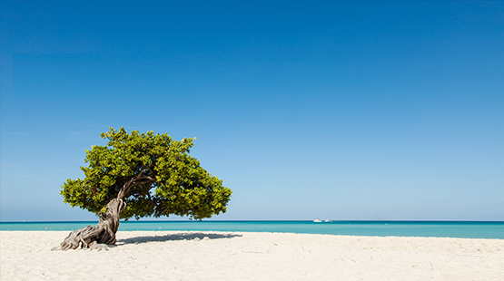 Aruba