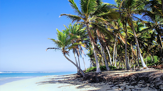 Punta Cana