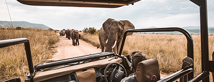Safaris