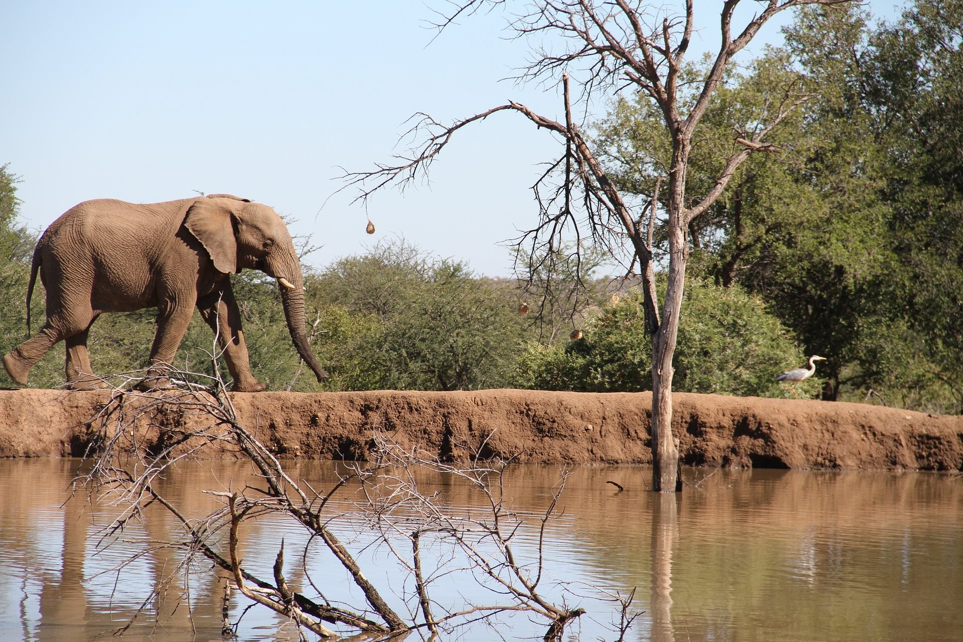 Pilanesberg