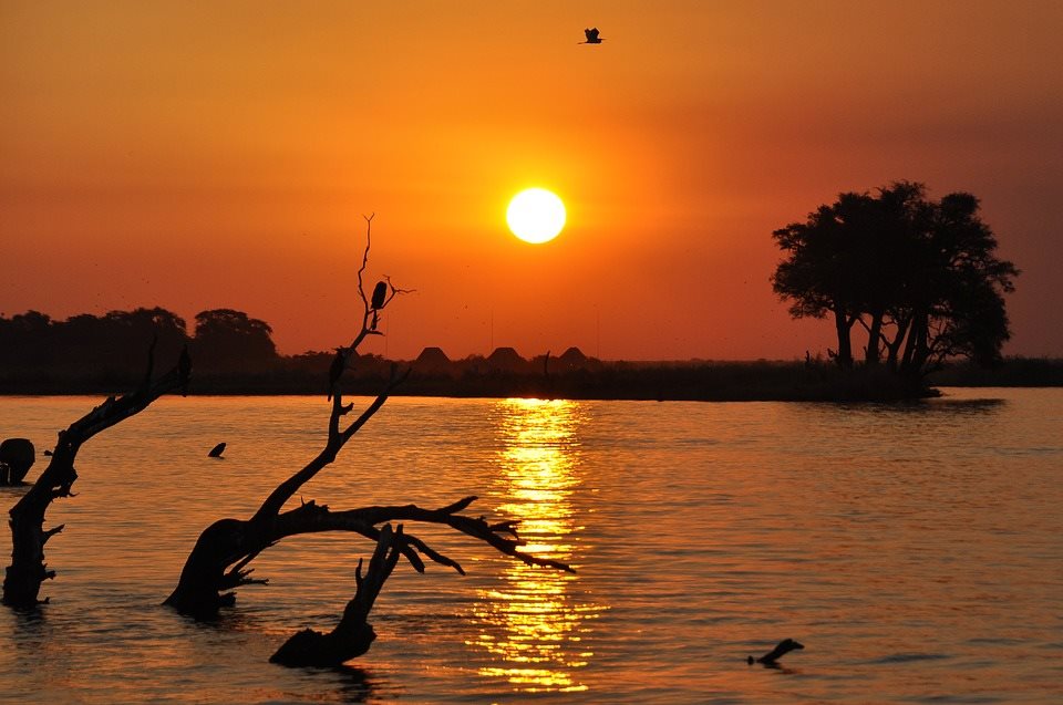 Chobe Por do sol