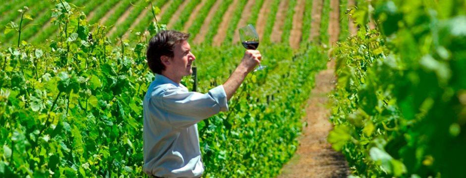 Rota do Vinho do Vale de Colchagua
