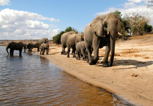Chobe