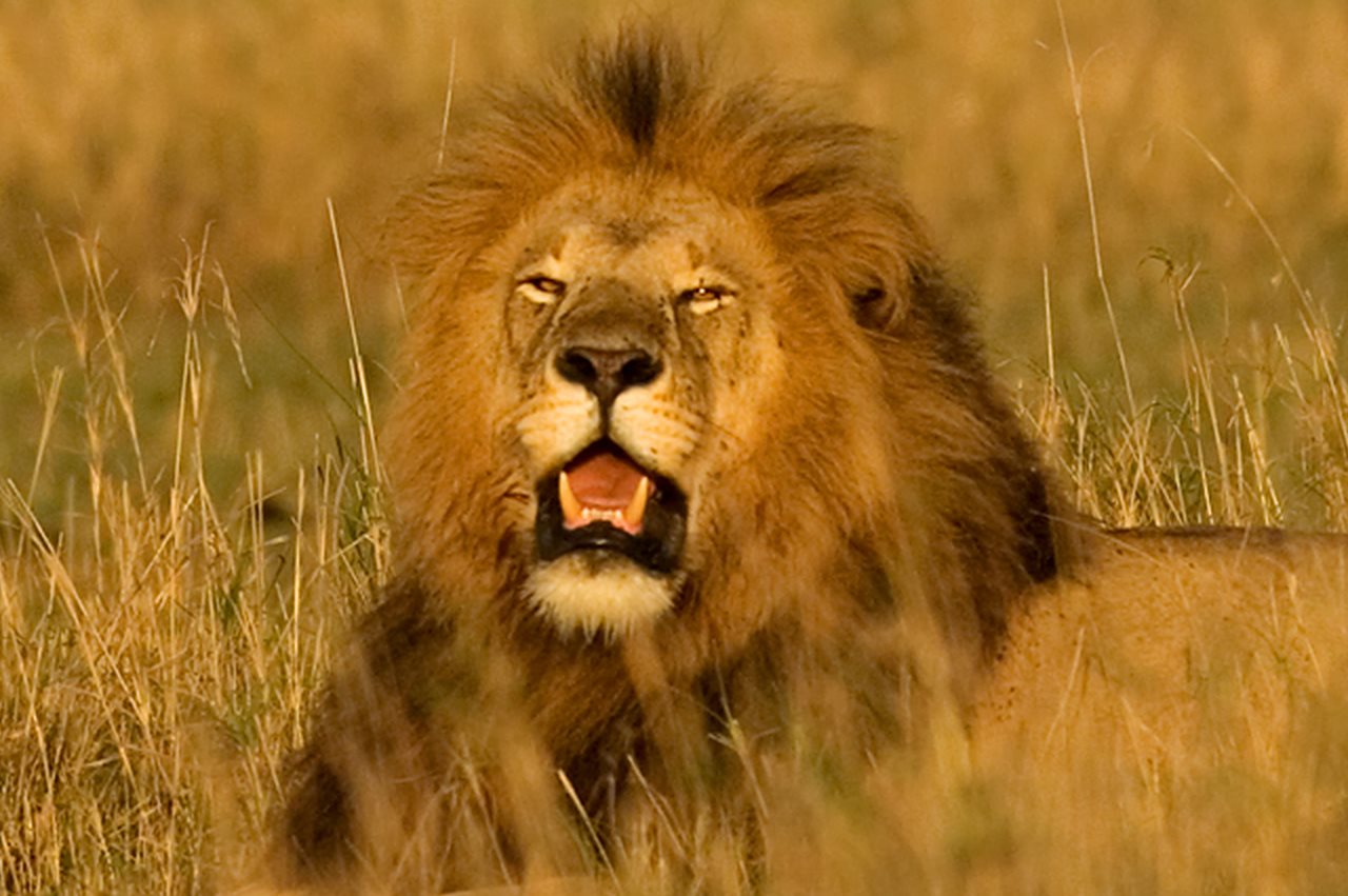 africa_7