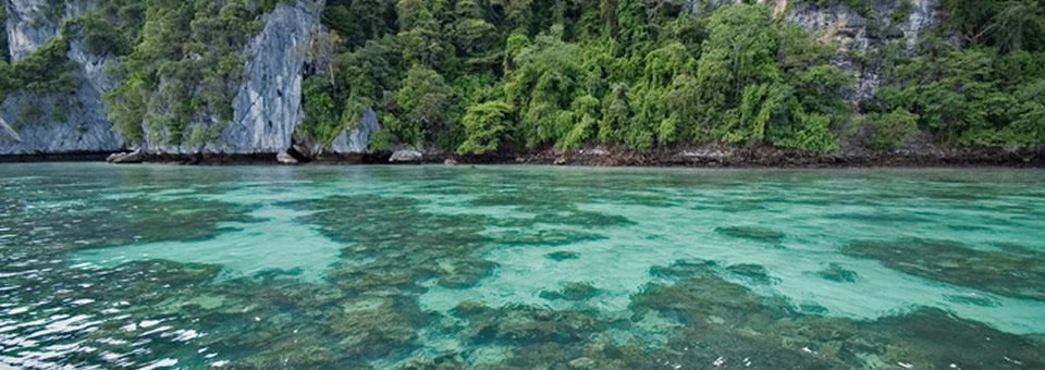 Phi Phi Island