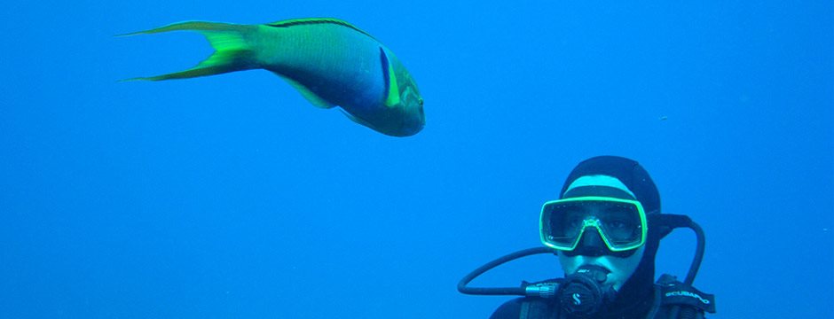 Ilha de Páscoa - sem aéreo