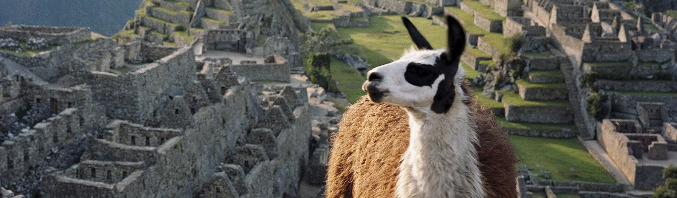 Machu Picchu