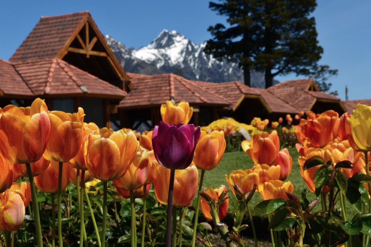 Buenos Aires, San Martin de Los Andes & Bariloche