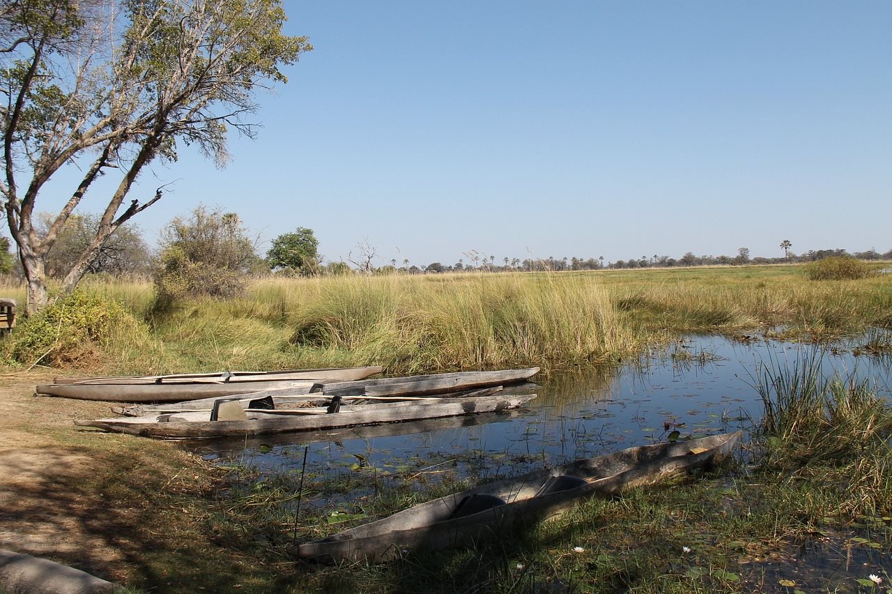 Mokoro Botswana