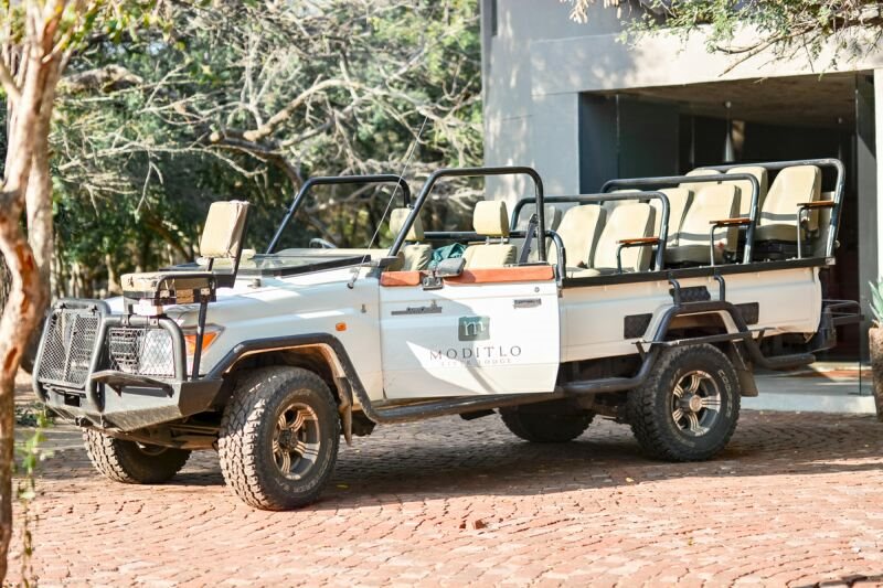 Moditlo_safari