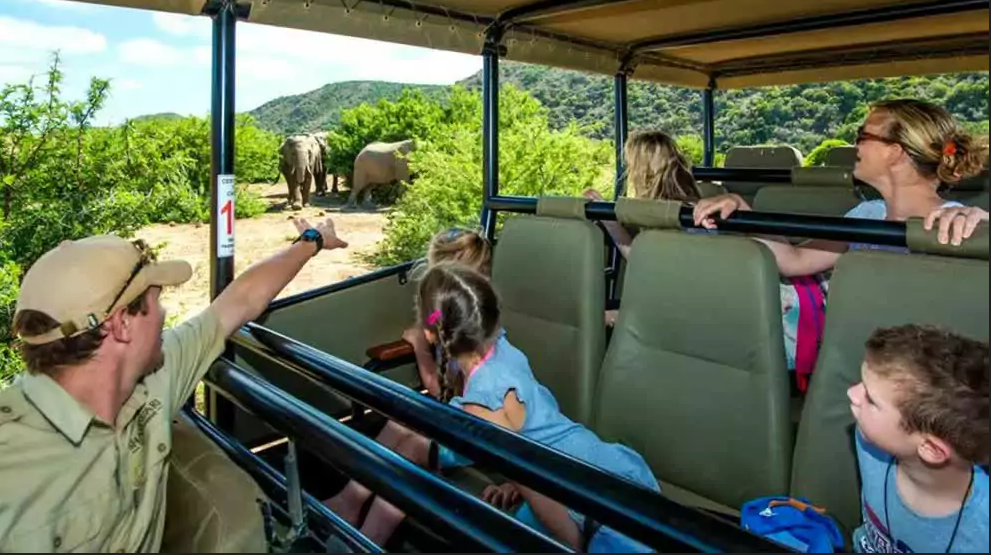 Shamwari Game Reserve