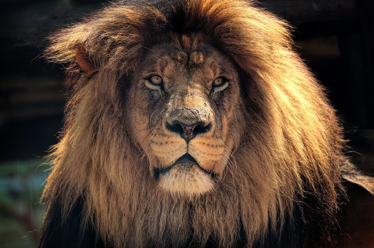 Kruger