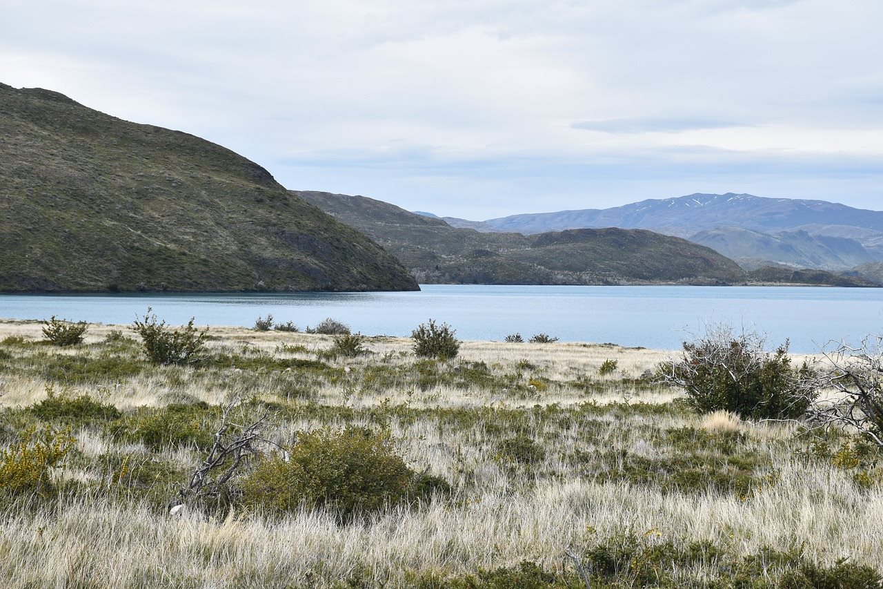 Patagonia Argentina e Chilena