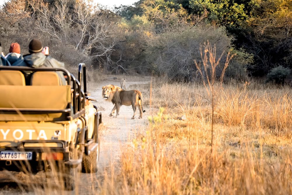 Moditlo Game Reserve
