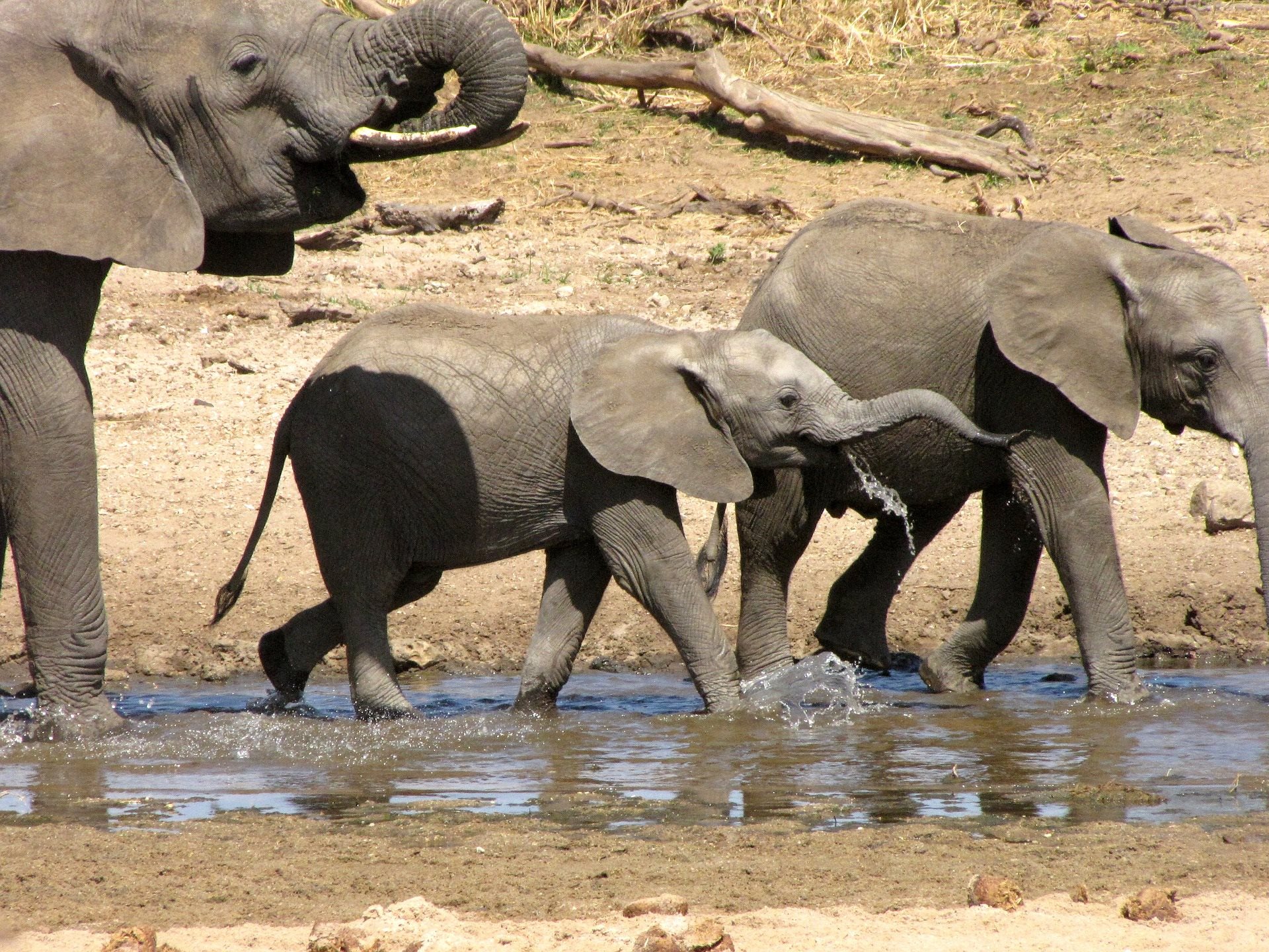 tanzania