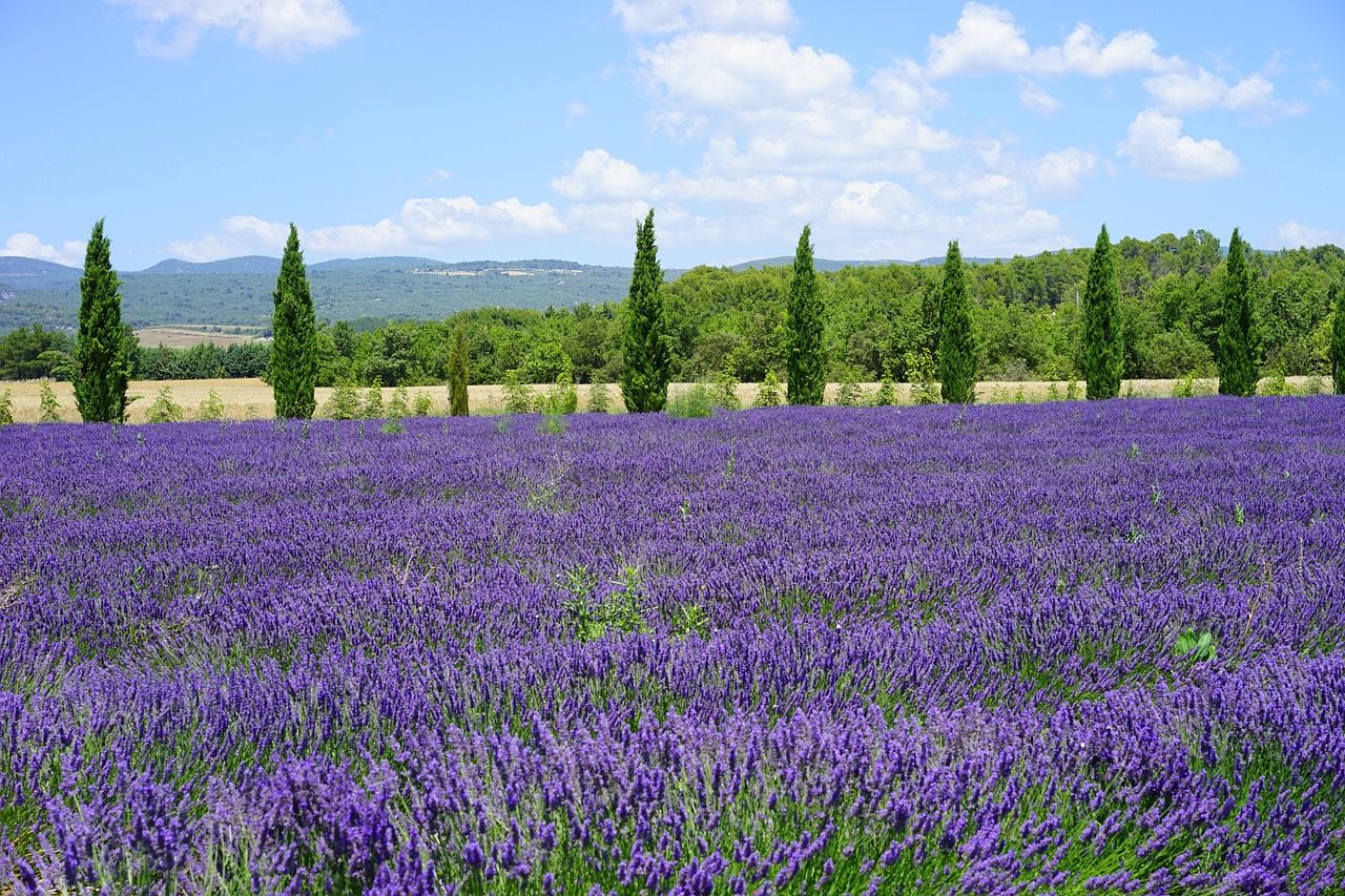 provence