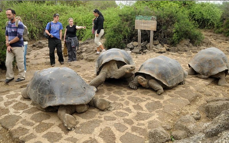 Santa Cruz Island - Charles Darwin (2)