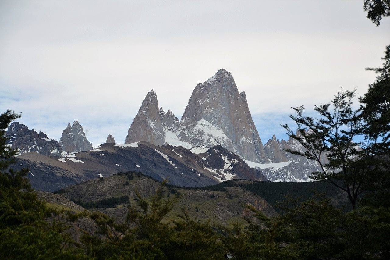 Glaciares da Patagônia - Baleias e Lobos Marinhos