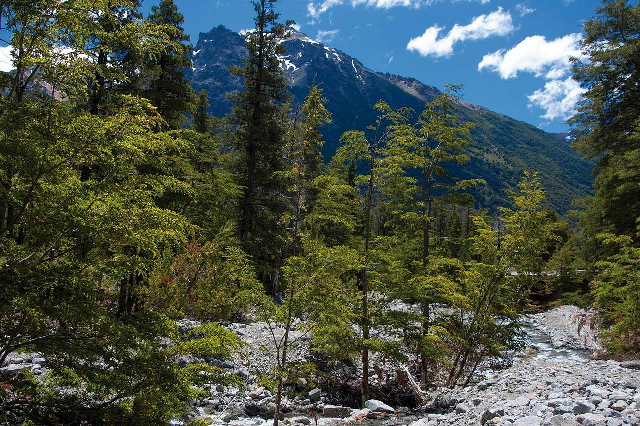 Buenos Aires, San Martin de Los Andes & Bariloche