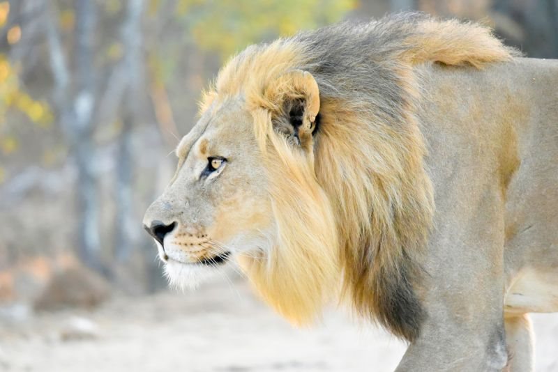 Moditlo Game Reserve