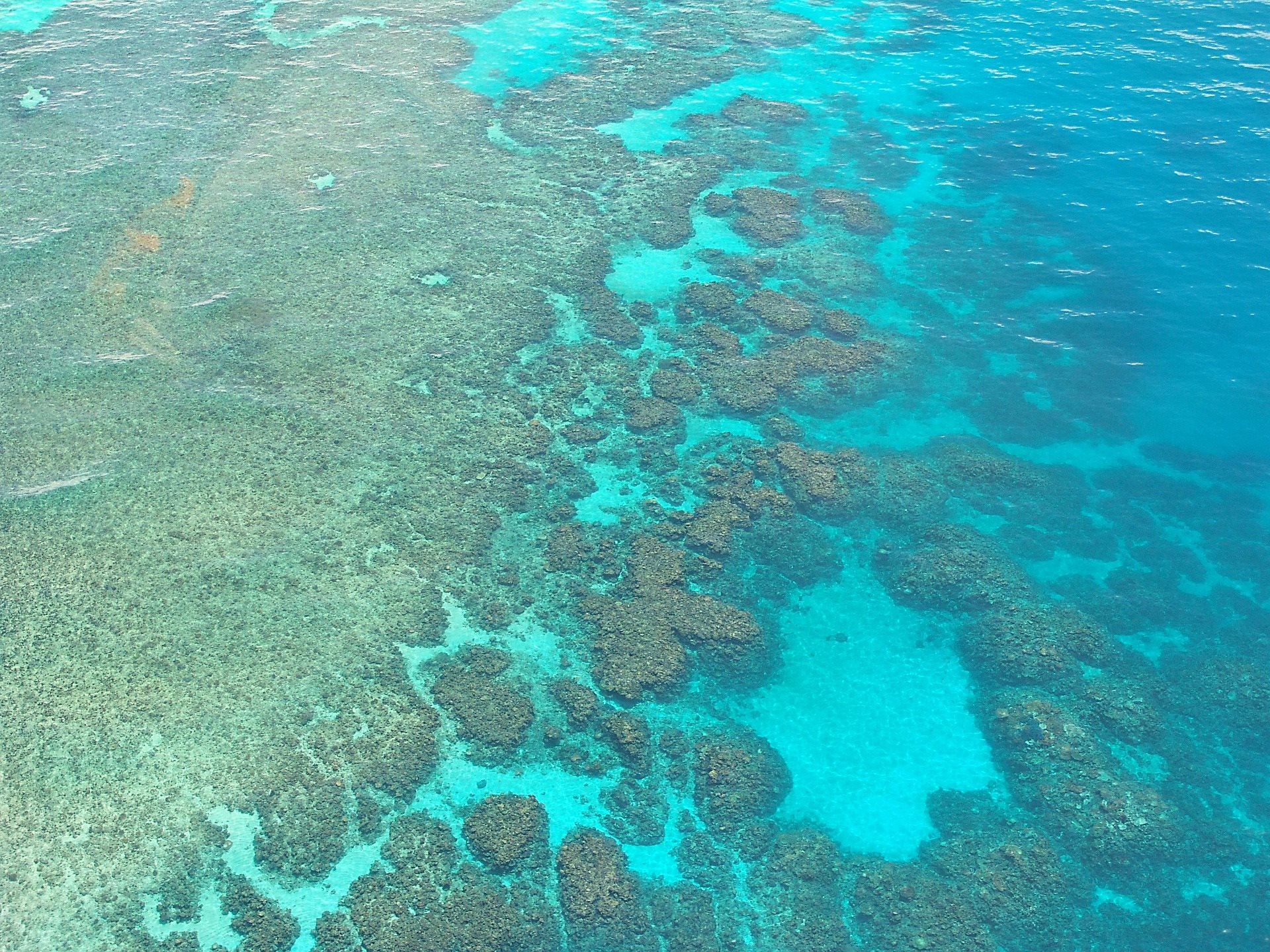 Grande barreira de corais