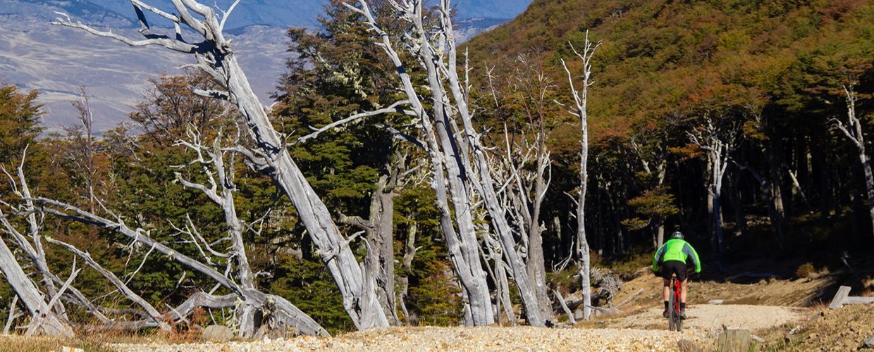 Trek_Package 5118 - nossas-exploracoes-parque-nacional-patagonia-31