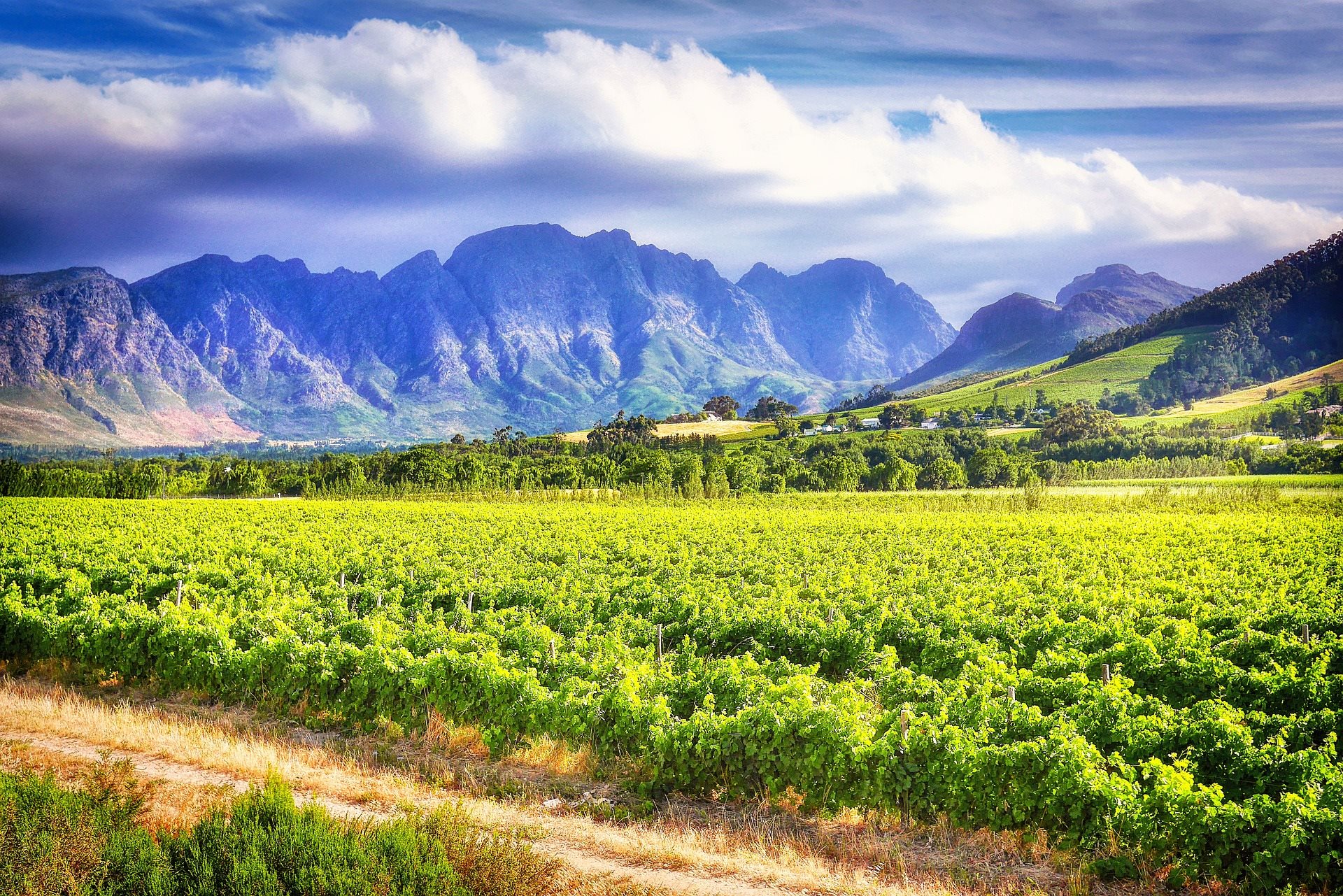 Trek_Package 5261 - vineyard-g10d073b9f 1920