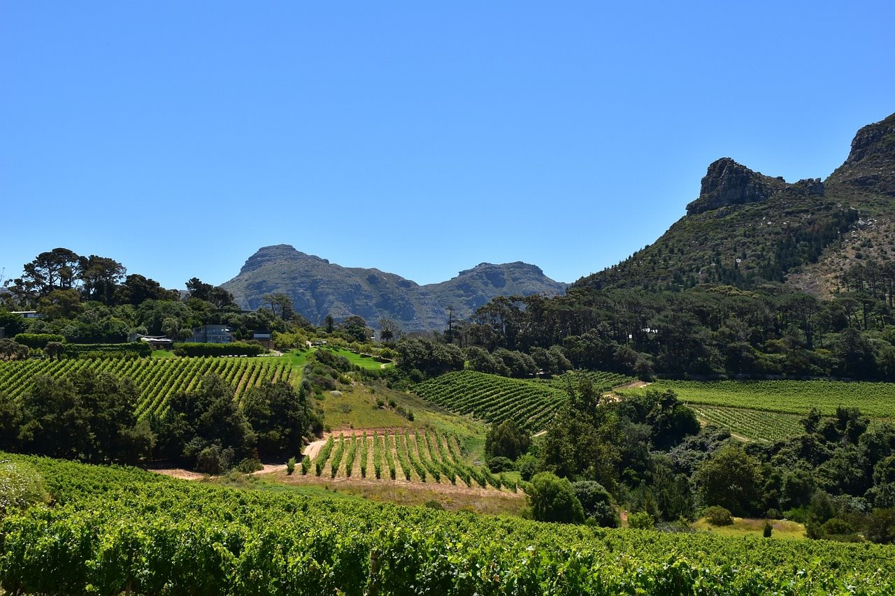 Cape Town - Constantia
