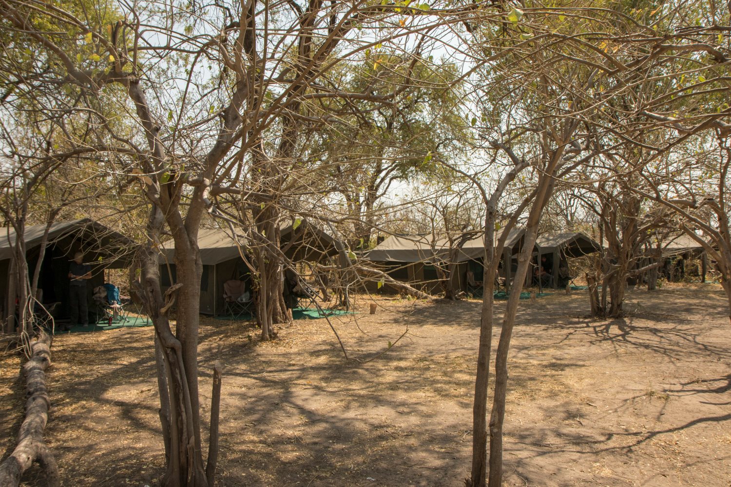 Acampamento externo