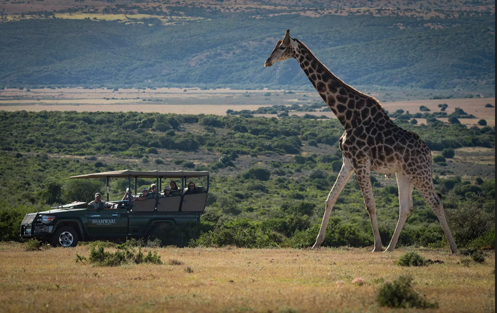 Shamwari Game Reserve
