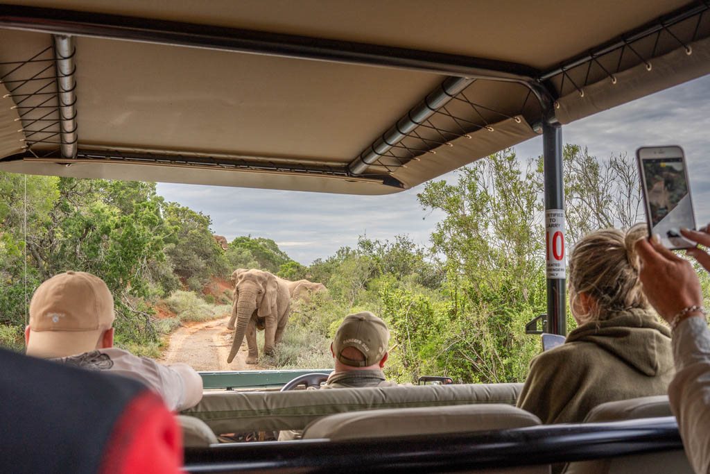 Amakhala Game Reserva