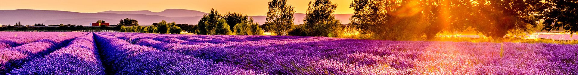 Provence
