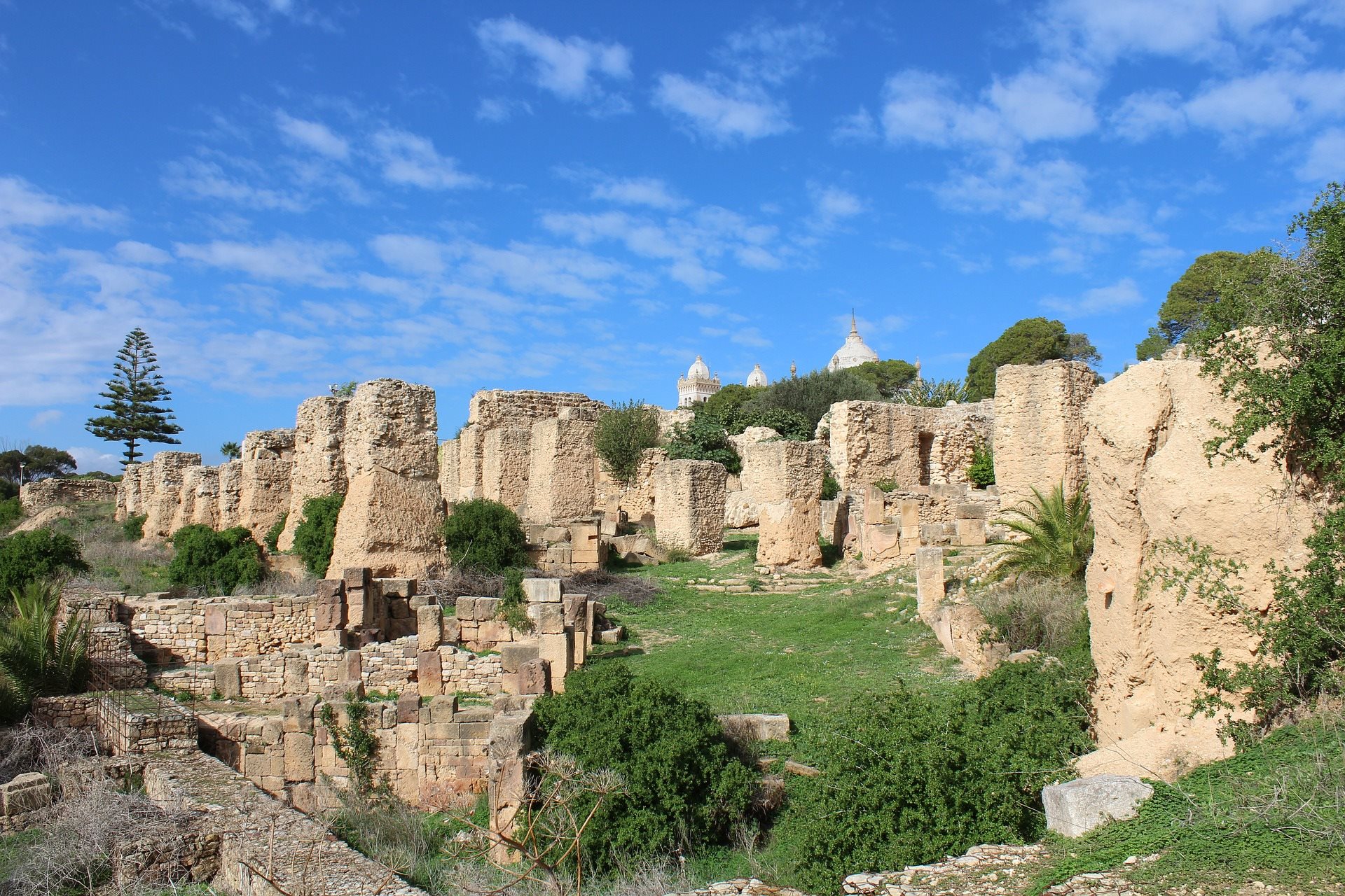 Tunisia - carthago