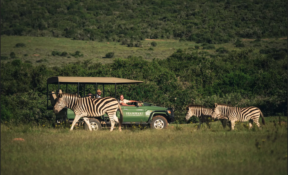 Shamwari Game Reserve