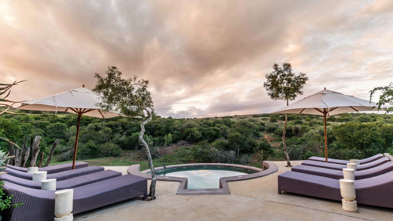 Amakhala Game Reserva